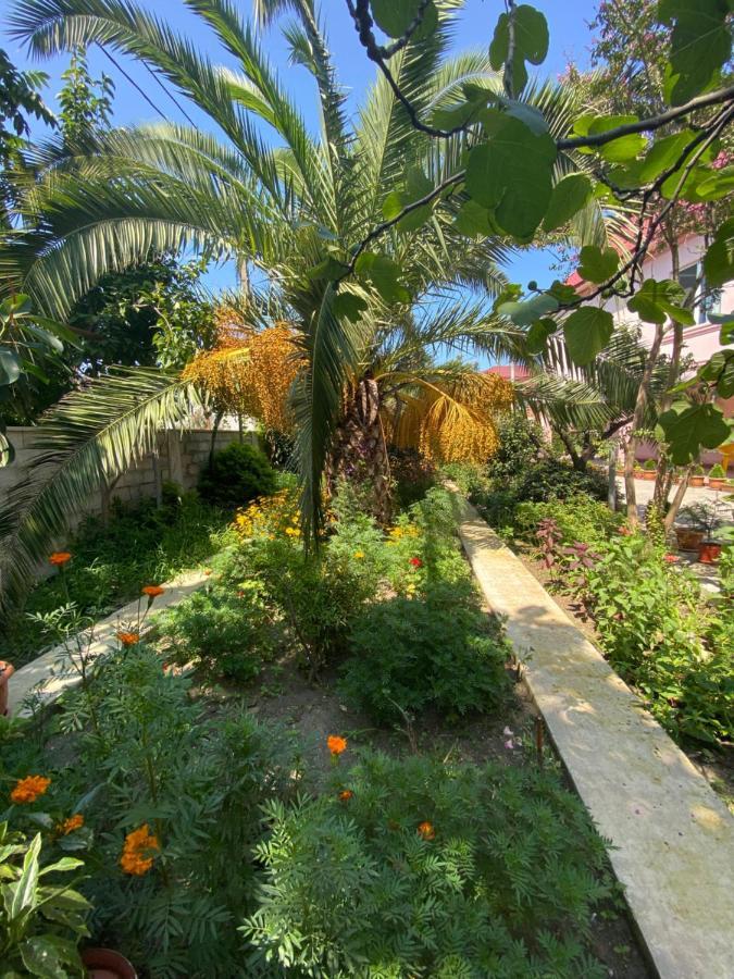 Villa Jakos Paradise 바투미 외부 사진