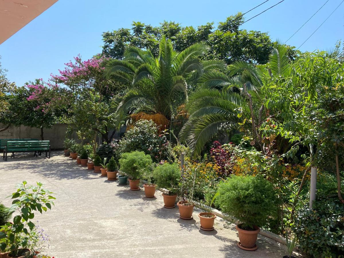 Villa Jakos Paradise 바투미 외부 사진