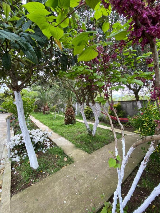 Villa Jakos Paradise 바투미 외부 사진